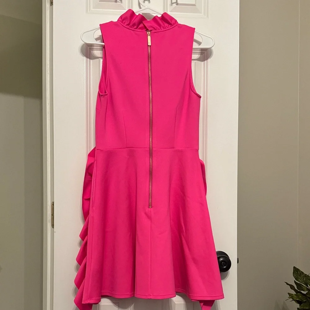 Ted Baker Fuchsia Ruffle Dress - Picture 3 of 4